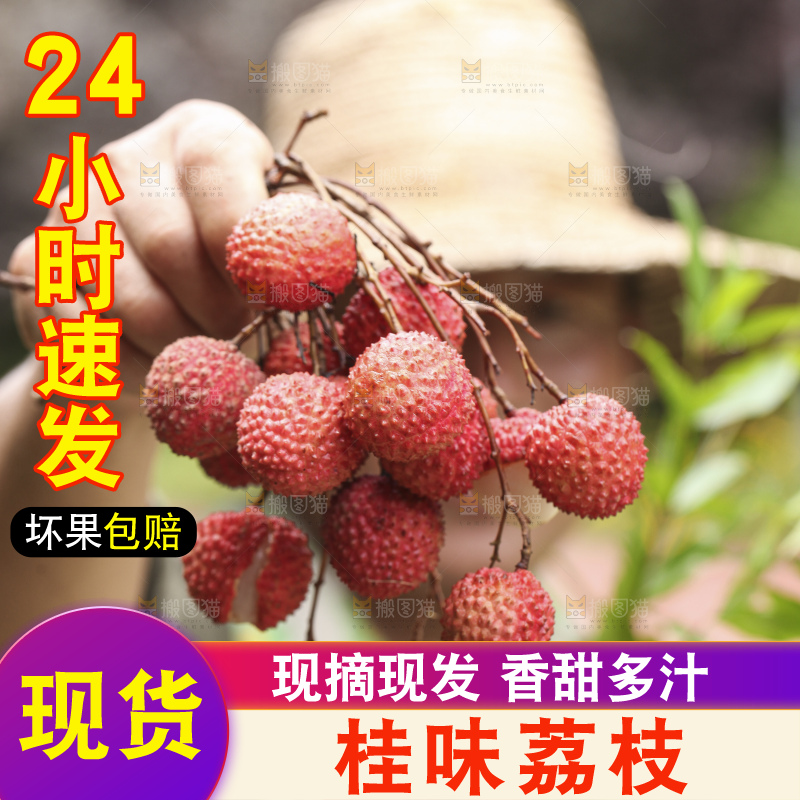 手里拿着桂味荔枝