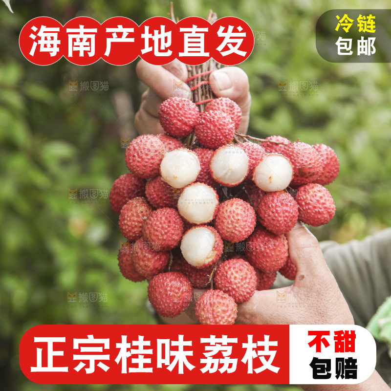 手里拿着桂味荔枝