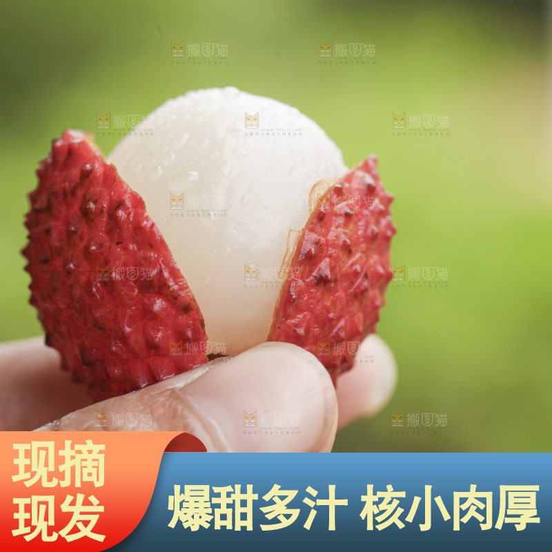 手里拿着桂味荔枝