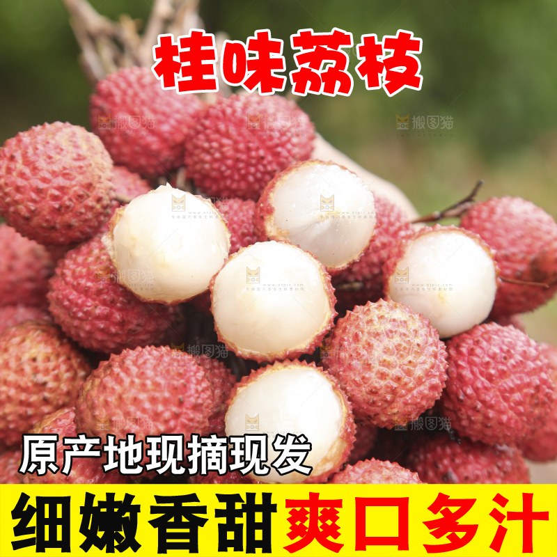 手里拿着桂味荔枝
