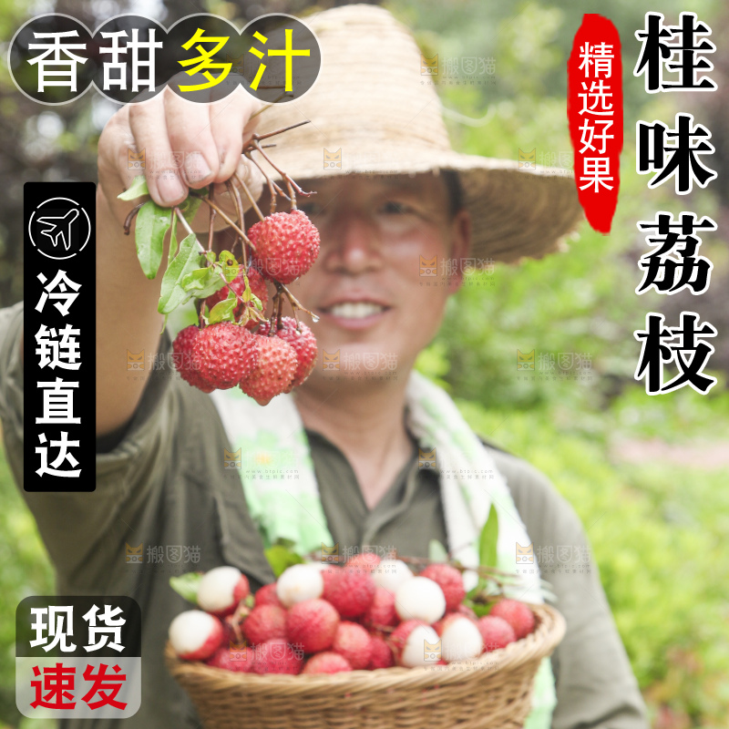 手里拿着桂味荔枝