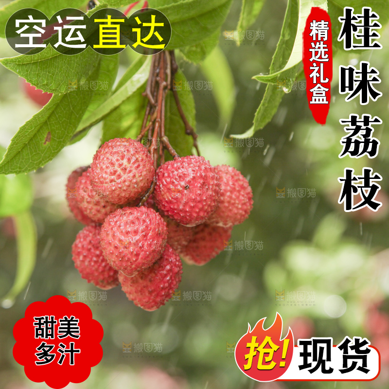手里拿着桂味荔枝