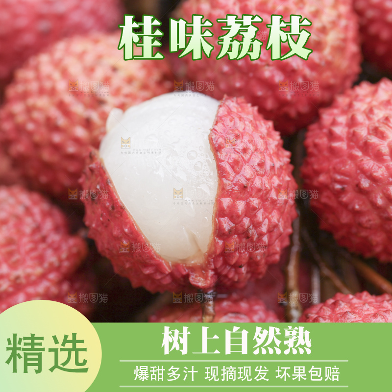 手里拿着桂味荔枝