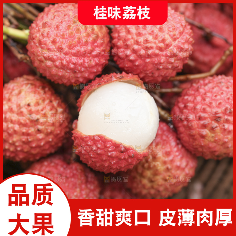 手里拿着桂味荔枝