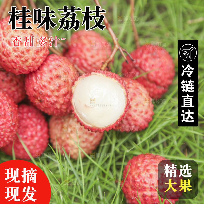 手里拿着桂味荔枝