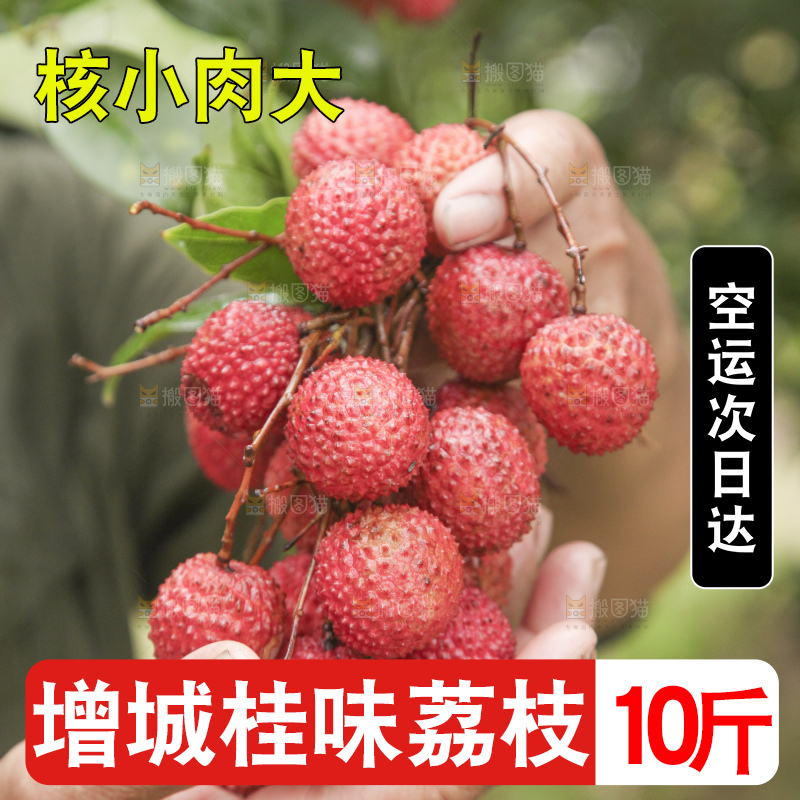 手里拿着桂味荔枝