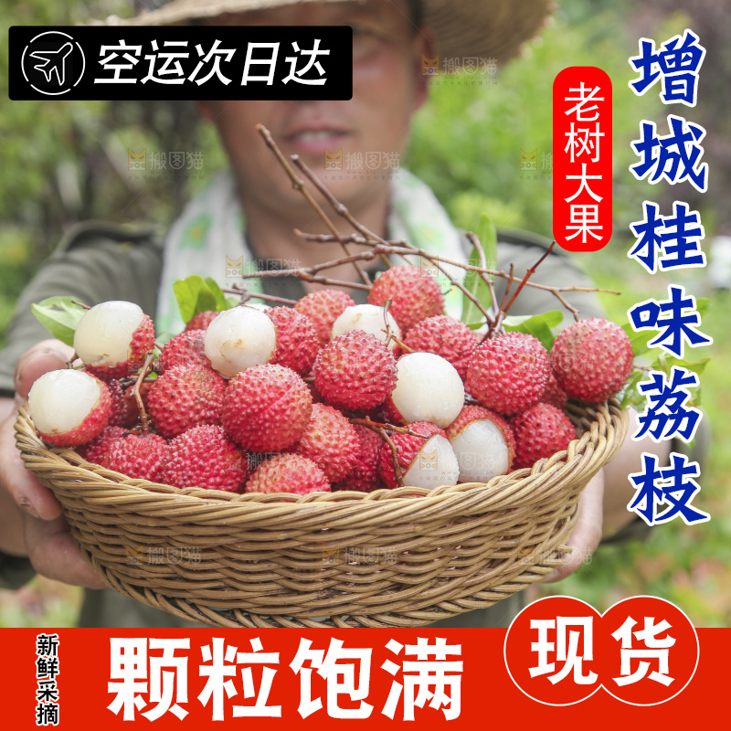 手里拿着桂味荔枝