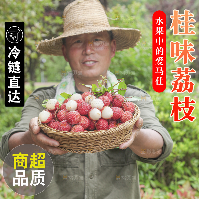 手里拿着桂味荔枝