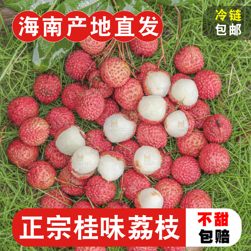 手里拿着桂味荔枝