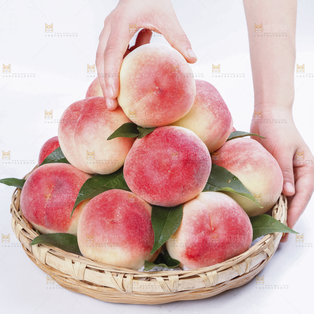白底上的新鲜水蜜桃
