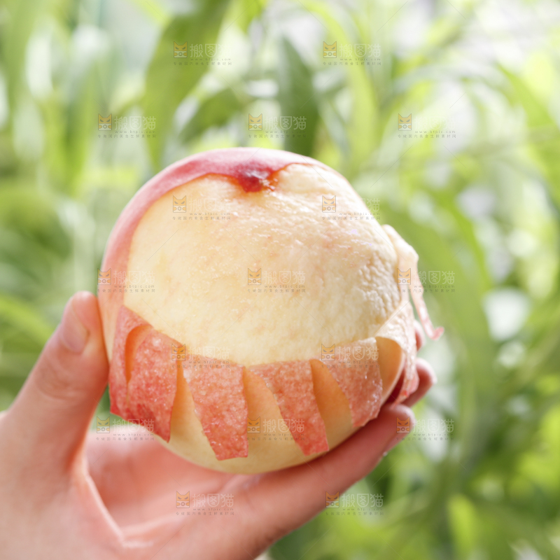 浅底上的水蜜桃