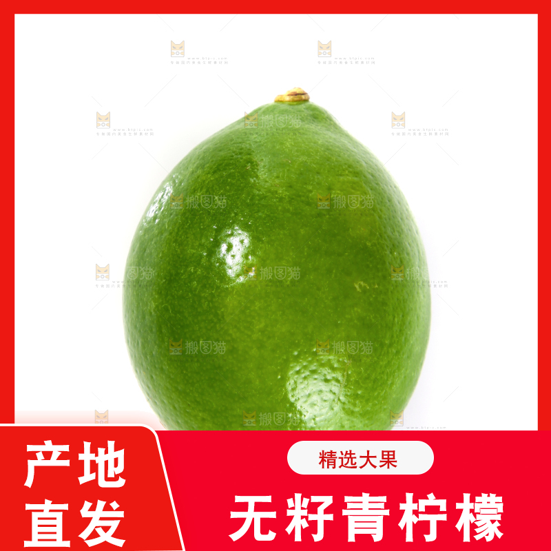 白底上的无籽青柠檬