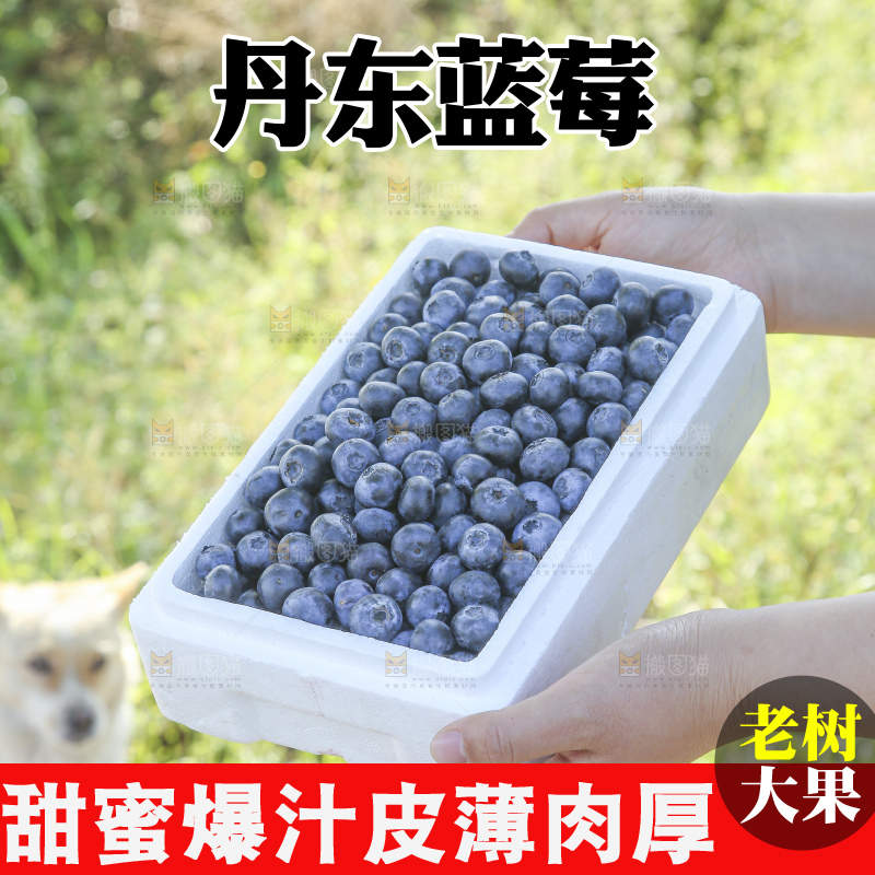 手里拿着蓝莓鲜果