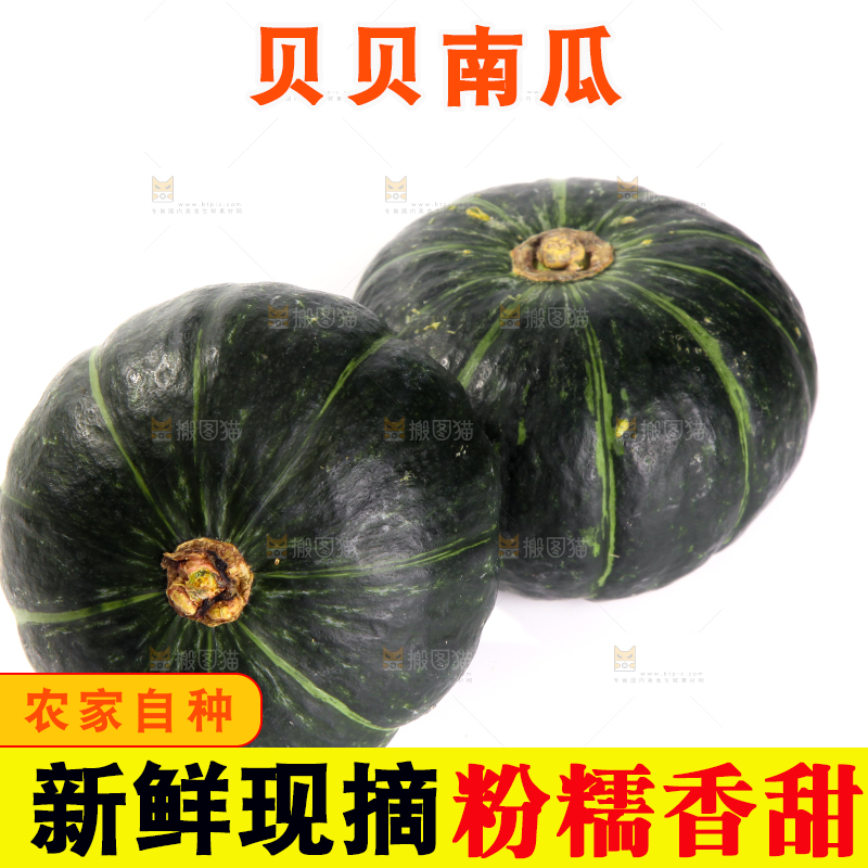 白底上放着的贝贝南瓜