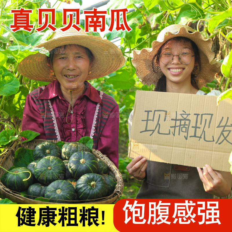 手里拿着贝贝南瓜