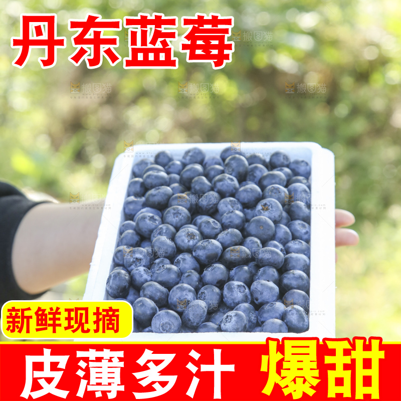 手里拿着蓝莓鲜果
