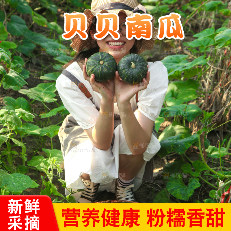 手里拿着贝贝南瓜