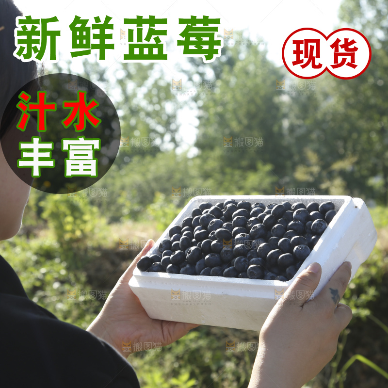 手里拿着蓝莓鲜果