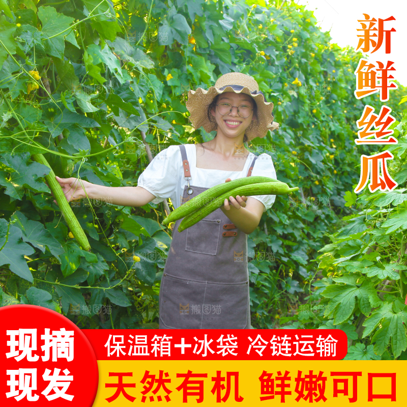 手里拿着长丝瓜