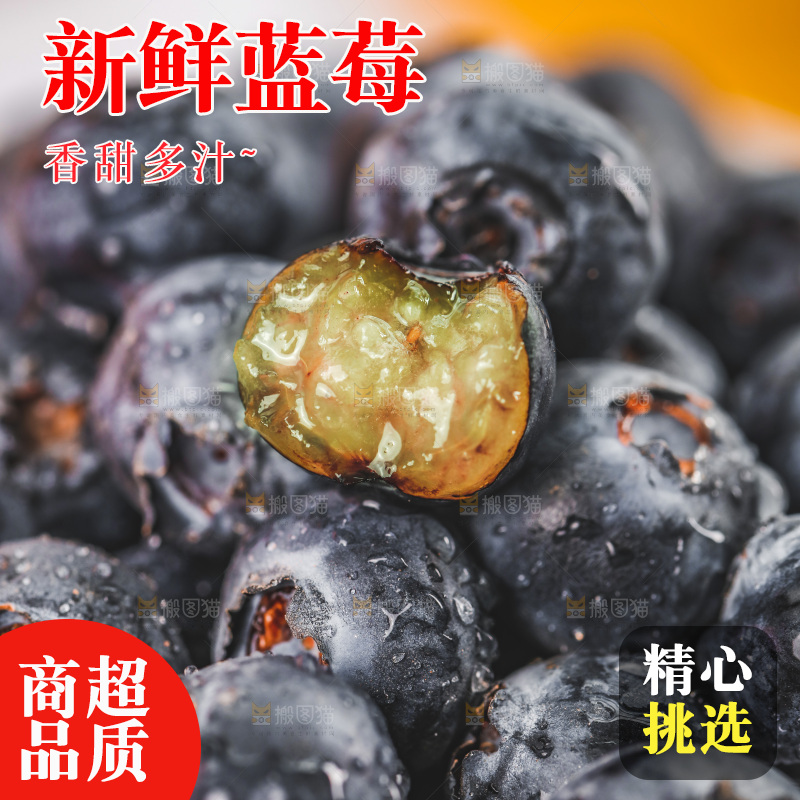 浅底上的新鲜蓝莓