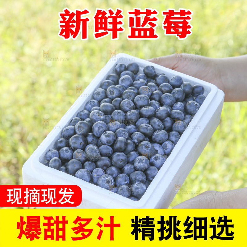 手里拿着蓝莓鲜果