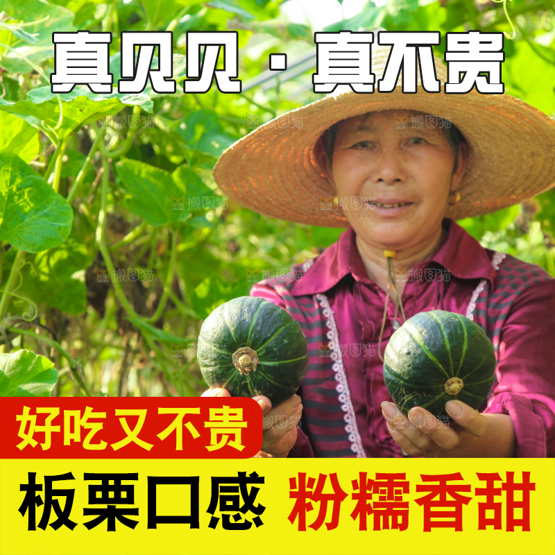 手里拿着贝贝南瓜