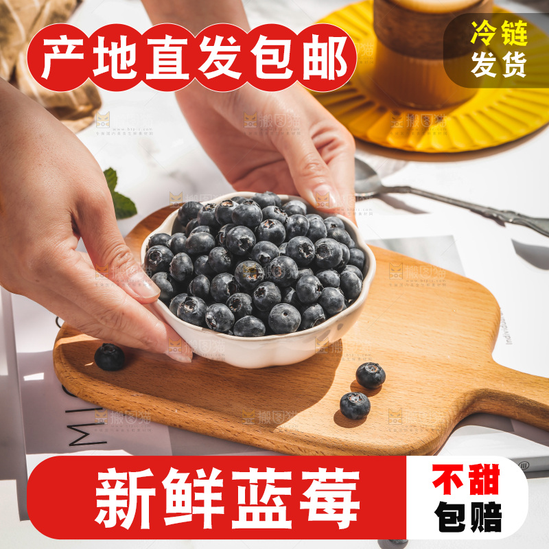 浅底上的新鲜蓝莓