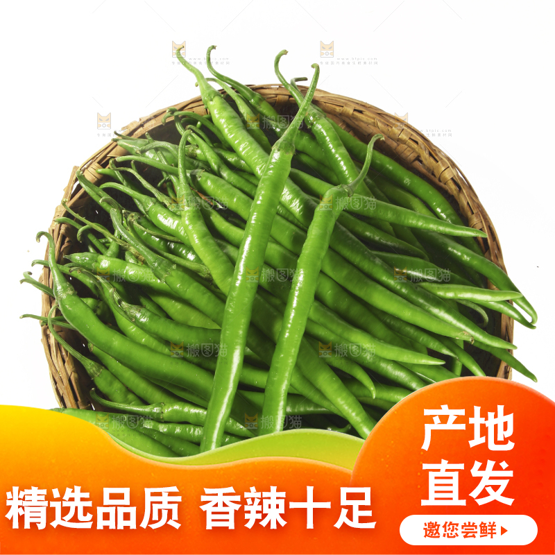 白底上的新鲜线椒