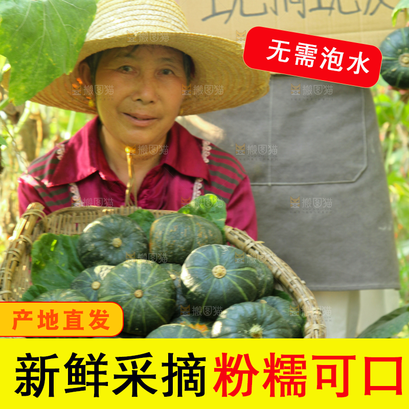 手里拿着贝贝南瓜