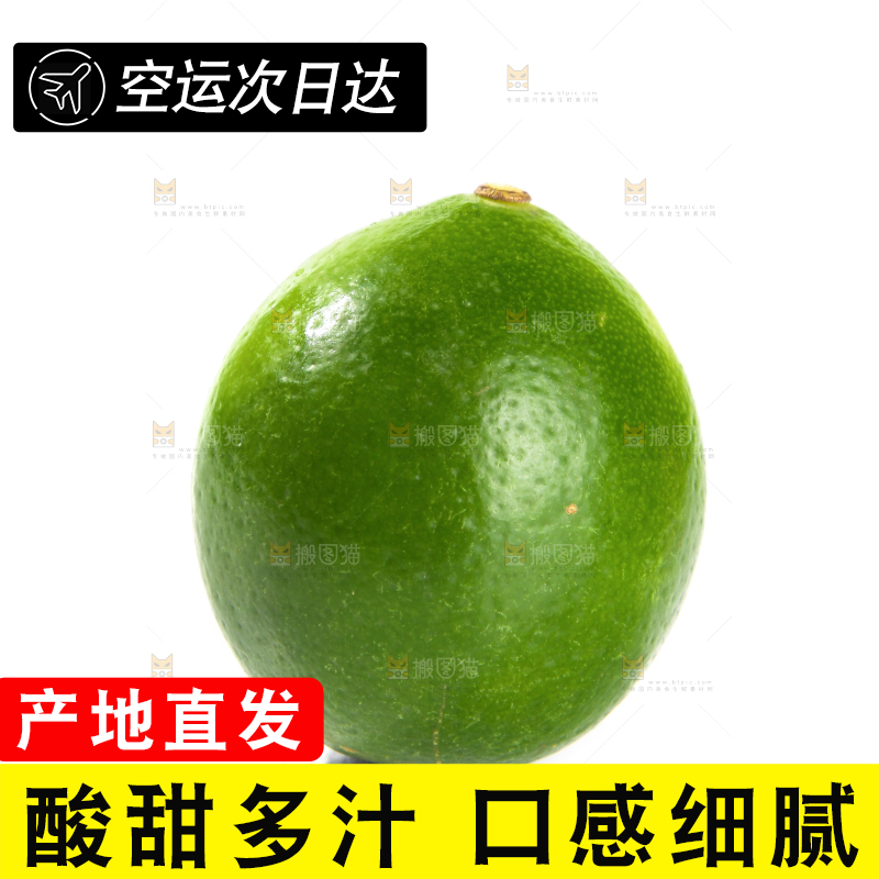 白底上的无籽青柠檬