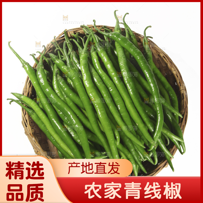 白底上的新鲜线椒