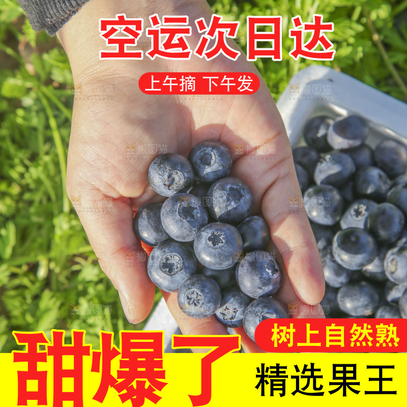 手里拿着蓝莓鲜果