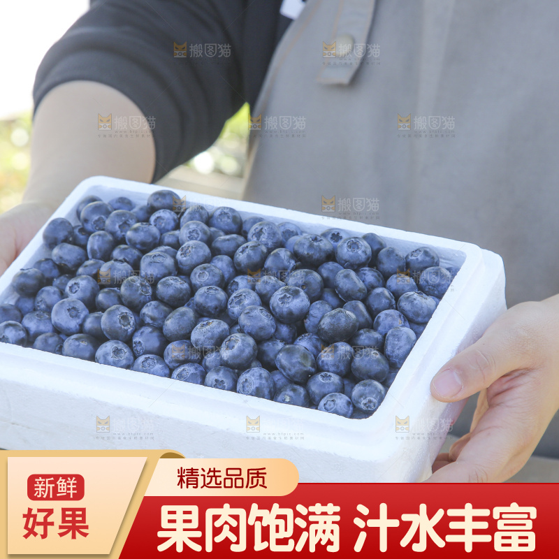 手里拿着蓝莓鲜果