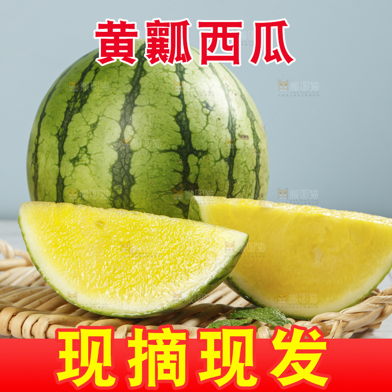 浅底上的黄瓤西瓜