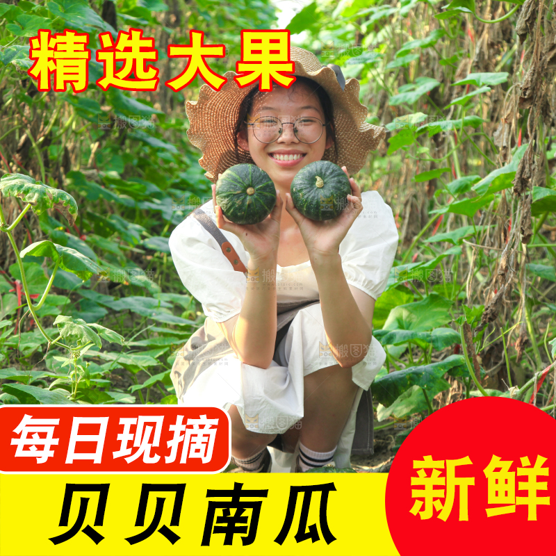 手里拿着贝贝南瓜