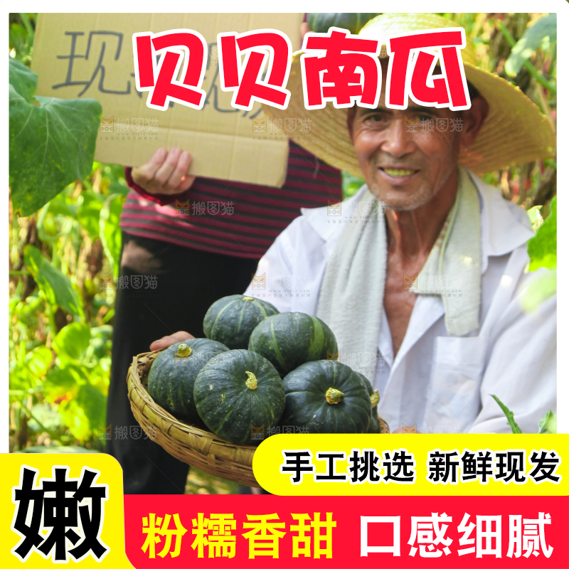 手里拿着贝贝南瓜