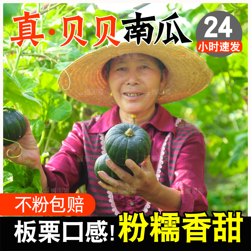 手里拿着贝贝南瓜