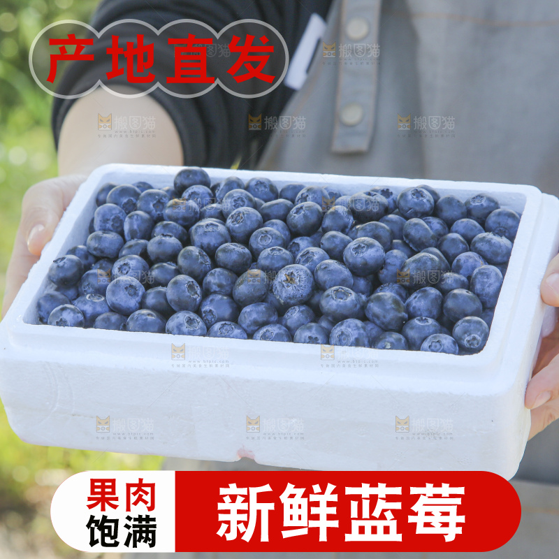 手里拿着蓝莓鲜果