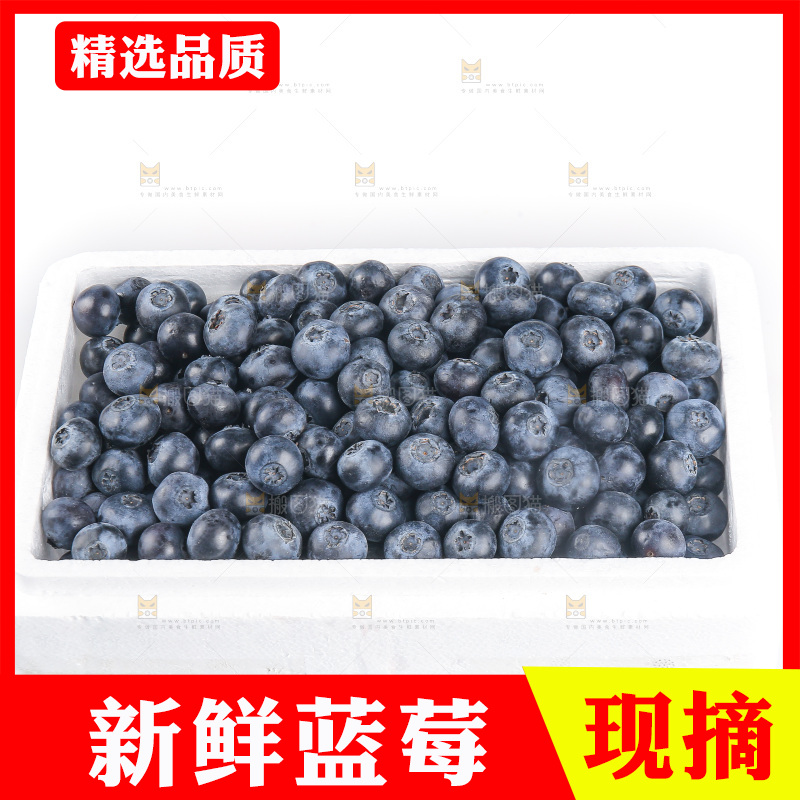 白底上的怡颗莓