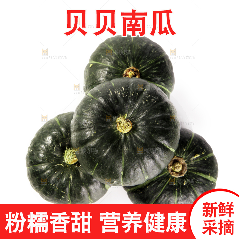 白底上放着的贝贝南瓜