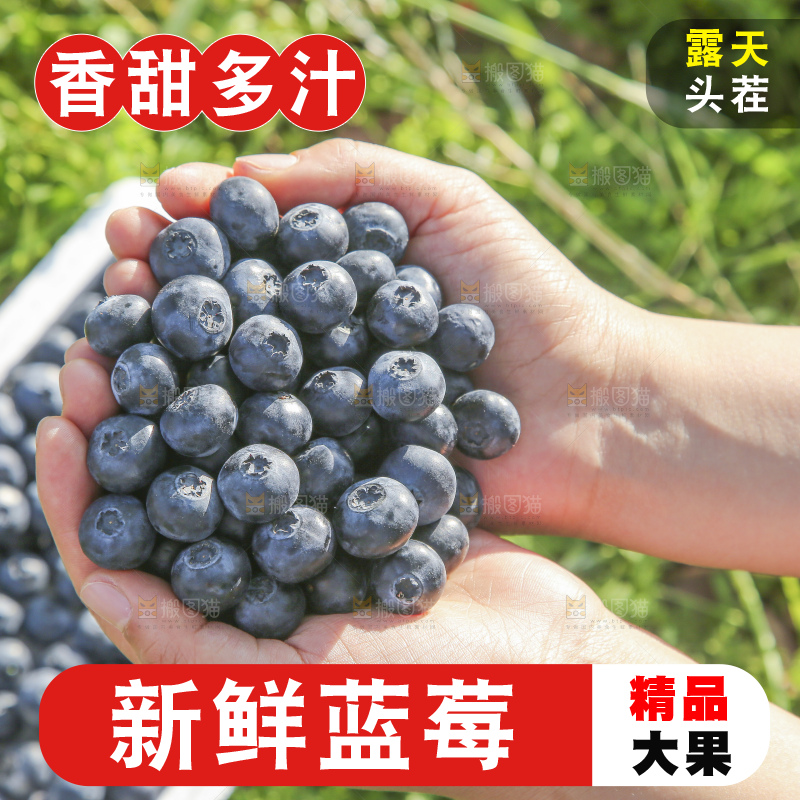 手里拿着蓝莓鲜果
