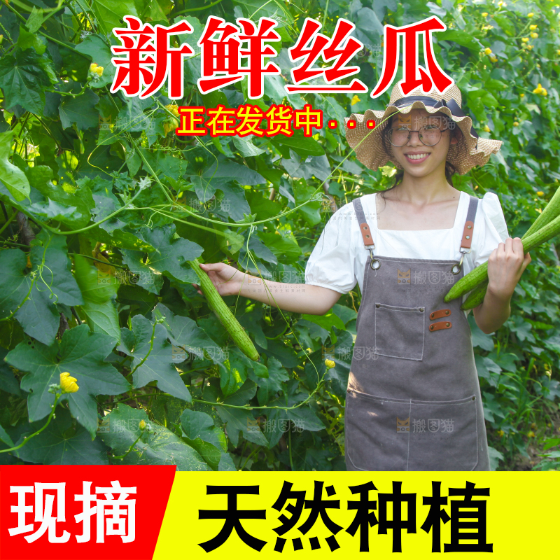 手里拿着长丝瓜