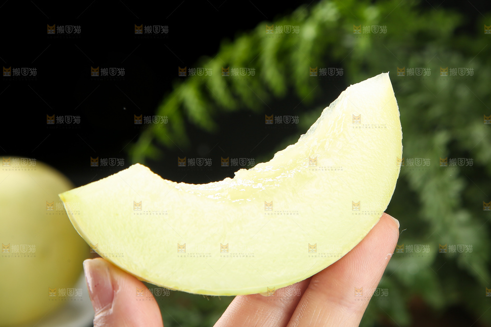 深底上的郁金香甜瓜