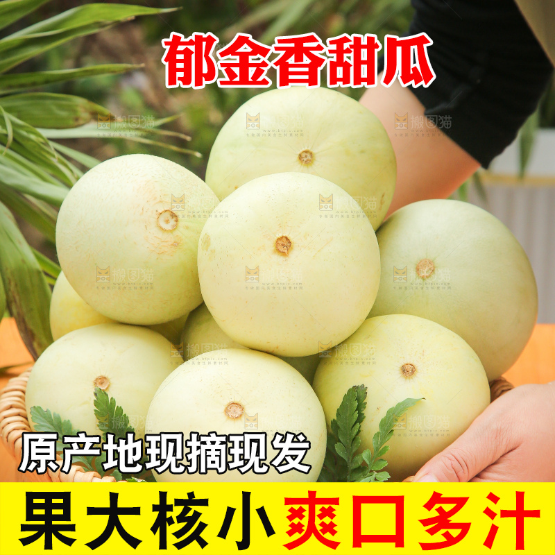 木底上的云南小香瓜
