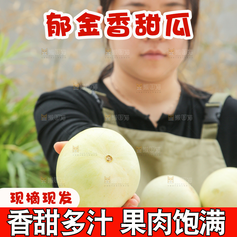 手里拿着郁金香甜瓜