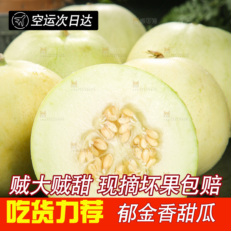 深底上的郁金香甜瓜