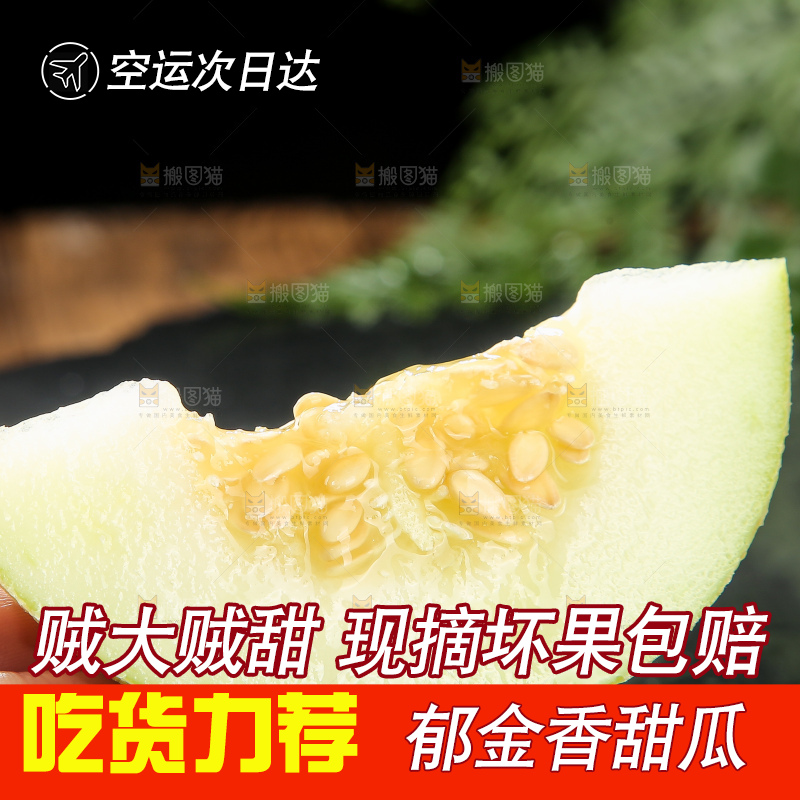 深底上的郁金香甜瓜