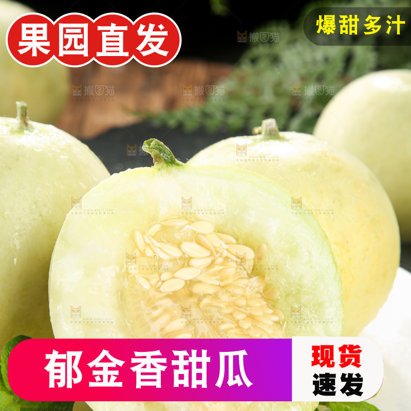 深底上的郁金香甜瓜
