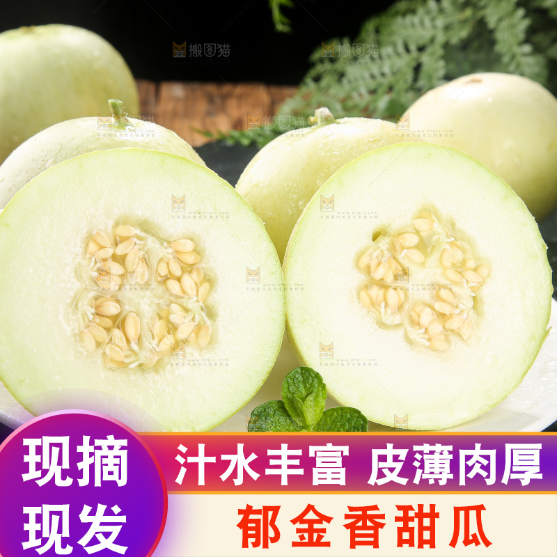 深底上的郁金香甜瓜