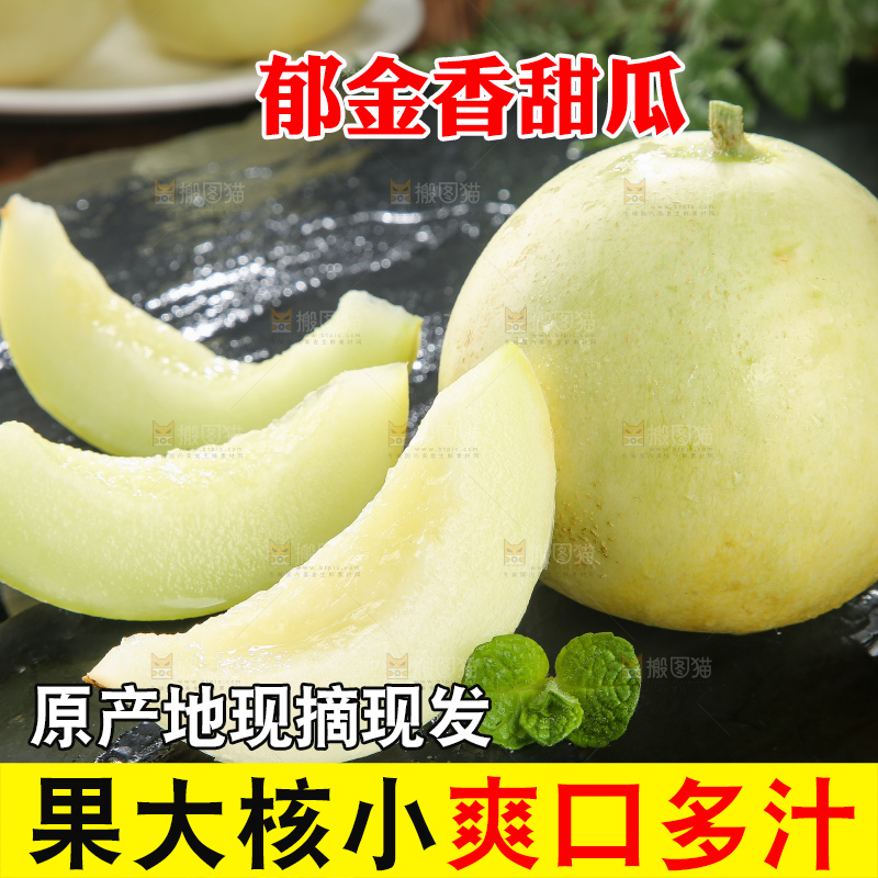 深底上的郁金香甜瓜